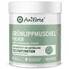 AniForte Grünlippmuschel Pulver für Hunde 500 g - Produktbild-Vorschau 1