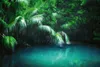 Vlies Fototapete MANGROVEN-REGENWALD 375 x 250 cm (inkl. Produktbild-Vorschau 2