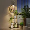 WISFOR Metall Blumenregal Pflanzenregal mit Wachstumslicht, Produktbild-Vorschau 2
