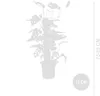 Bloomique - 2er-Set - Monstera Adansonii mit Moosstab - Produktbild-Vorschau 6