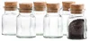 zestaw 12 słoiczków na przyprawy 150 ml + korek, do Podgląd zdjęcia produktu 3