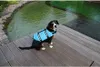 Merco Dog Swimmer plovací vesta pro psa modrá velikost Náhled obrázku produktu 3