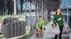 Sac de transport pour chats et chiens, sac de transport, Voir les images du produit 11