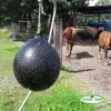 Sticky Trap Bremsenfallen und Fliegenfallen Leim 0,5 Liter Produktbild-Vorschau 9
