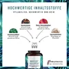 Naturtreu Wasserbalance | Brennnessel + Rosskastanie + Rote Produktbild-Vorschau 2
