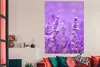 MuchoWow® Poster Lavendel - Nahaufnahme - Blumen - Lila Produktbild-Vorschau 3