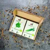 Seedhero  Gemüsesamen-Set mit 12 Sorten Produktbild-Vorschau 8