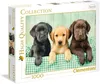 Clementoni Three Labs puzzle 1000 ks Fauna Náhľad obrázku produktu 2