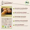 Samenliebe  Kürbis Samen | Honeynut - süß & mini - Produktbild-Vorschau 3