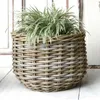 Pflanzkorb BÜSUM Natural Grey ca.40cm Natur-Rattan Korb Produktbild-Vorschau 2