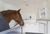 A horse is inside a trailer, with a camera mounted on the wall. Produktbild-Vorschau
