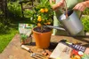 Neudorff Neudohum Zitrus- & MediterranpflanzenErde - 10 Produktbild-Vorschau 11