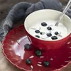 A red ceramic bowl filled with yogurt, blueberries, and sunflower seeds sits on a matching red plate. A gray cloth is draped in the background. Produktbild-Vorschau