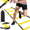 Verk 14375 Tréninkový koordinační žebřík 6 m Náhled obrázku produktu 5