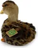 Papera Peluche 19 Cm Ecologica Anteprima dell’immagine prodotto 9