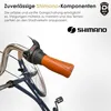Dallas Bike Hollandrad Damenfahrrad 28 Zoll - Shimano Nexus Produktbild-Vorschau 6