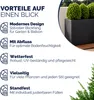A graphic listing the benefits of a planter box, with a product image on the right. Anteprima dell’immagine prodotto