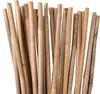 250 x Bambusstäbe 105cm, aus natürlichem Bambus, Produktbild-Vorschau 5
