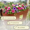 2er Set Geländerkasten Balkon mit Wasserspeicher Blumentopf Produktbild-Vorschau 5