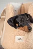 Teddy hondentas beige – draagtas hond comfortabel & Productafbeelding-voorbeeld 6