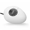 A close-up product shot of a white, egg-shaped device with a black dial and temperature markings. Anteprima dell’immagine prodotto