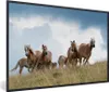 MuchoWow® Gerahmtes Poster Haflinger Pferde 90x60 cm - Produktbild-Vorschau 1