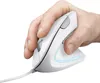 A hand holding a white vertical computer mouse against a white background. Anteprima dell’immagine prodotto