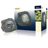Product packaging for Ranex solar lights, showing two lights and a graphic of a bee on a flower. Anteprima dell’immagine prodotto