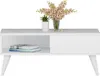 A white coffee table with books, a potted plant, and a vase of flowers on a white background. Voir les images du produit