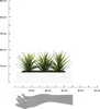 Atmosphera créateur d'intérieur umìlá aloe vera 3 kusy. Náhled obrázku produktu 4