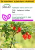 SAFLAX Kultivační sada - Chilli - Habanero Antilles Red - Náhled obrázku produktu 1