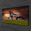 Tulup Leinwand-Bilder 100x50 Wandbild Canvas Kunstdruck Produktbild-Vorschau 2