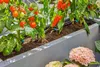 Gardena Micro-Drip-System Set Terrasse (30 Pflanzen) Produktbild-Vorschau 11