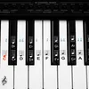 kwmobile Klavier Keyboard Noten Aufkleber - für 49 61 76 88 Produktbild-Vorschau 7