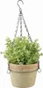 A hanging potted plant with green foliage in a terracotta pot. Produktbild-Vorschau