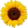younikat Aufkleber Sonnenblume | 30 cm | selbstklebende Produktbild-Vorschau 1