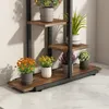 A multi-tiered plant stand with various potted plants on a light-colored floor against a wall. Náhled obrázku produktu