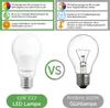 Comparison of an LED lamp and an incandescent bulb with feature highlights. Podgląd zdjęcia produktu