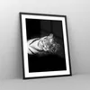 Gerahmtes Poster - Schwarzer Rahmen - Weiß Tiger Schwarz Produktbild-Vorschau 8