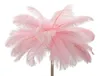 Stehlampe "Pink Palm" – 3-flammige E14-Stehlampe aus Produktbild-Vorschau 2