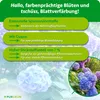 Purgrün Bauernhortensie-Dünger 1 Liter Produktbild-Vorschau 3