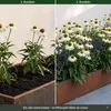Stauden Gänge 1 x Echinacea purpurea 'PowWow White' - Produktbild-Vorschau 4