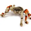Plüsch Vogelspinne 21cm Spinne Realistisch Premium Deko Produktbild-Vorschau 2