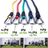 Set mit elastischen Tubebändern, Ryher Sports, maximale Produktbild-Vorschau 3