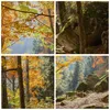 Bild auf Leinwand - Leinwandbild - Herbst berg wald natur - Produktbild-Vorschau 8