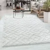 Carpetsale24 Tappeto per Soggiorno Effetto Alto Basso Anteprima dell’immagine prodotto 1