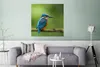 MuchoWow® Poster Eisvogel - Zweig - Moos - Vogel - Grün Produktbild-Vorschau 5
