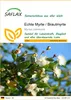 SAFLAX - Echte Myrte / Brautmyrte - Myrtus communis - 30 Produktbild-Vorschau 1
