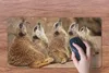 MuchoWow® Mauspad Mousepad Erdmännchen - Felsen - Natur Produktbild-Vorschau 3