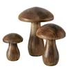 Boltze Home Set funghi Terjol legno di mango 3 pezzi Anteprima dell’immagine prodotto 1